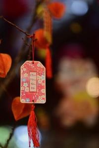 phỏm di động Sodo